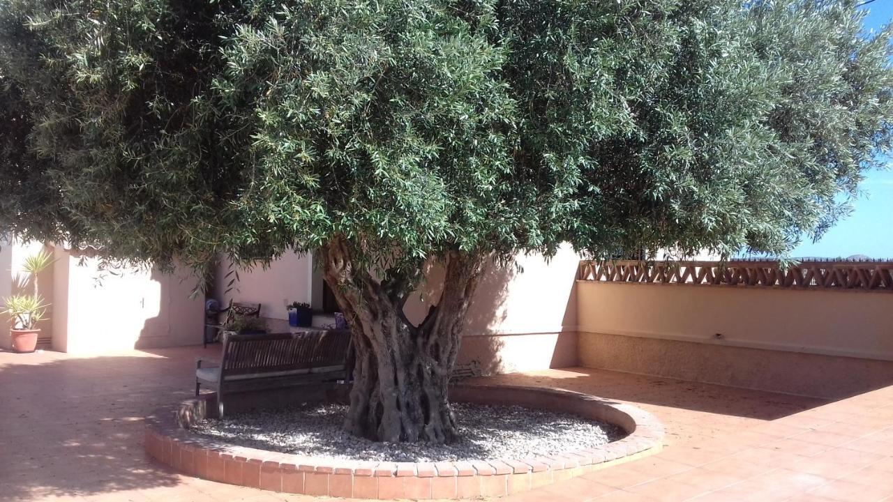 Finca Milagro San Fulgencio Exterior foto